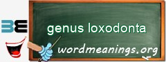 WordMeaning blackboard for genus loxodonta
